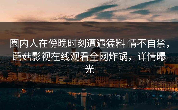 圈内人在傍晚时刻遭遇猛料 情不自禁,蘑菇影视在线观看全网炸锅,详情曝光
