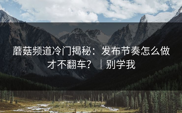 蘑菇频道冷门揭秘：发布节奏怎么做才不翻车？｜别学我