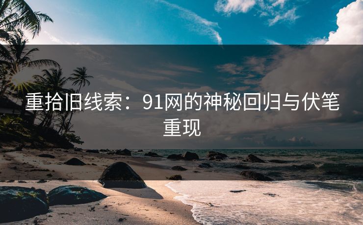 重拾旧线索：91网的神秘回归与伏笔重现
